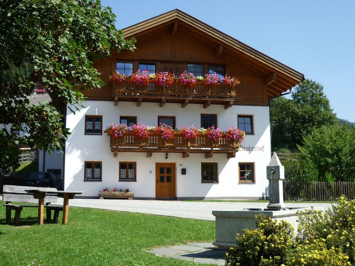 Gruberhof Apartment San Candido Exterior photo