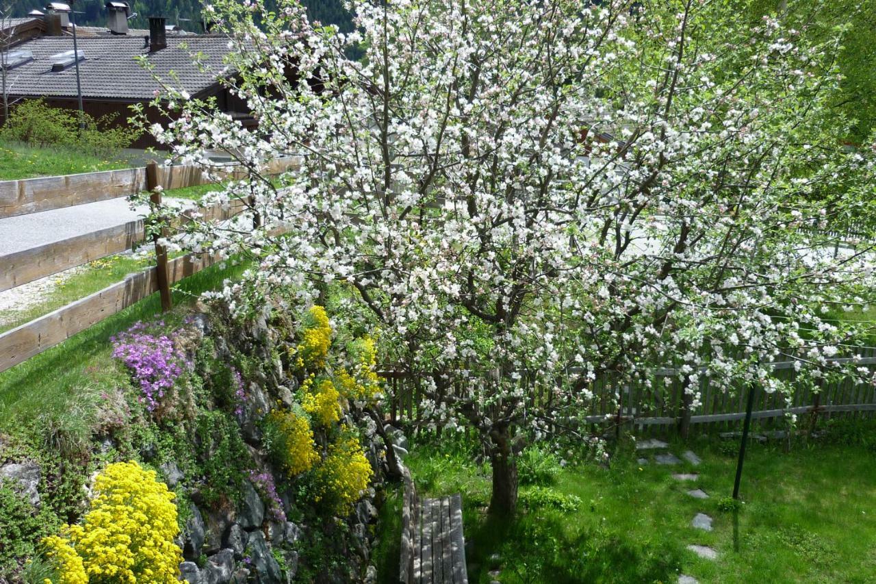 Gruberhof Apartment San Candido Exterior photo